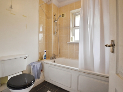 Picture 7